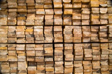 Kenarlı yumuşak tahtanın arka planı sarı ve ağaç yapısının güzel bir şekli var. Tasarım arka plan dokusu inşaatı.