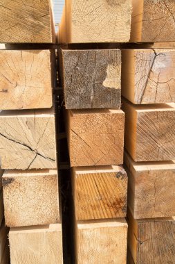 Kenarlı yumuşak kerestenin arka planı sarı ve ağaç yapısının güzel bir şekli var. Tasarım arka plan dokusu inşaatı.