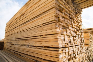 Kereste yığınları ve kozalaklı ağaçların kenarları mavi gökyüzüne karşı sarıdır. Dokuların inşaat üretimi.