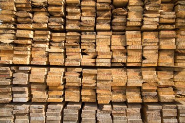 Kenarlı yumuşak tahtanın arka planı sarı ve ağaç yapısının güzel bir şekli var. Tasarım arka plan dokusu inşaatı.