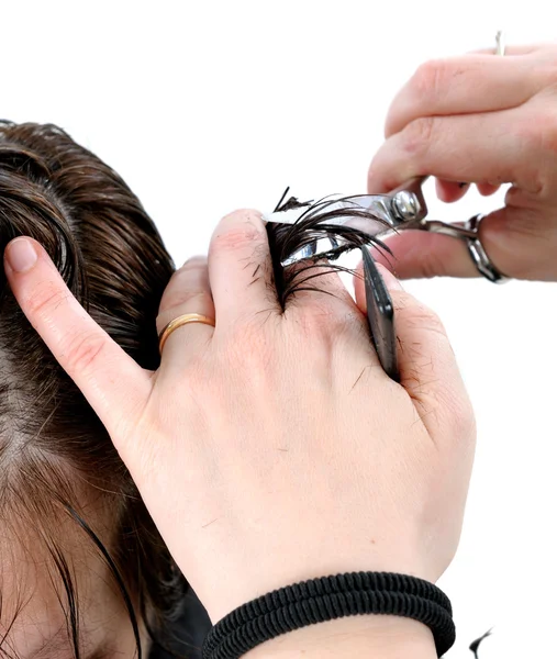 Cutting hair woman. — Stock Photo, Image