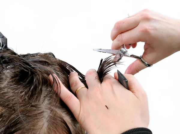 Cutting hair woman. — Stock Photo, Image