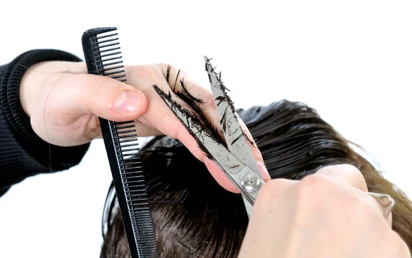 Cutting hair woman. — Stock Photo, Image
