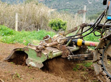 Sebze Bahçesi eserlerinden