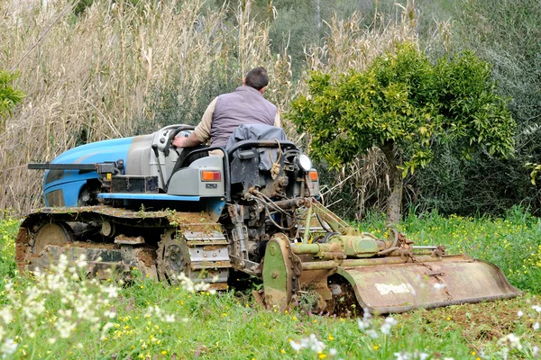 Verk från det egna grönsakslandet — Stockfoto