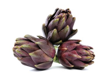 Enginar Tema çeşitli resmi