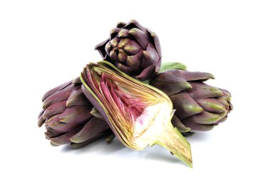 Enginar Tema çeşitli resmi