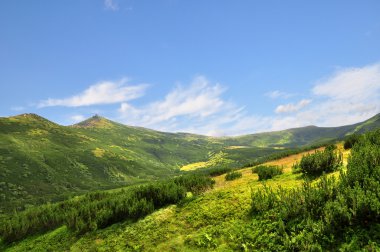 Karpatlar dağ Vadisi