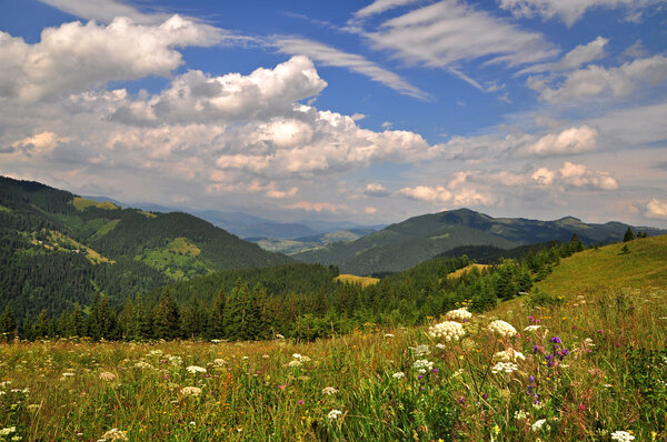 Blooming mountain valley. Picturesque clouds.