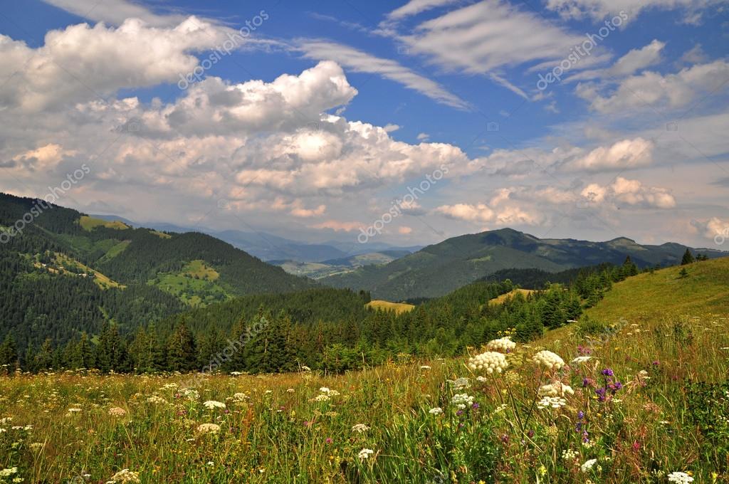 BLOOMING PRAIRIE