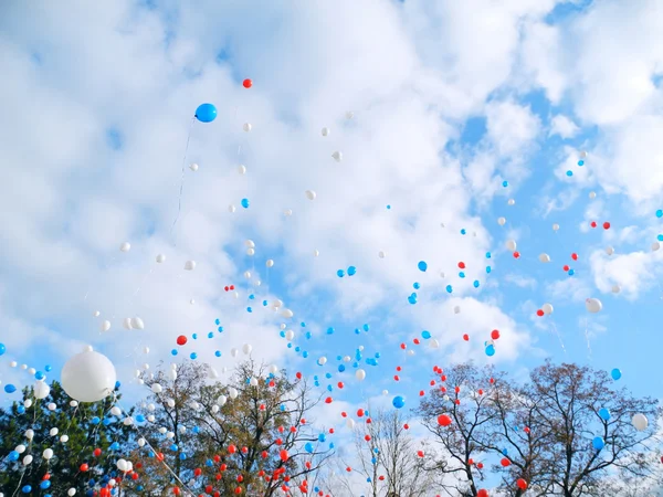 Colorful balloons in sky