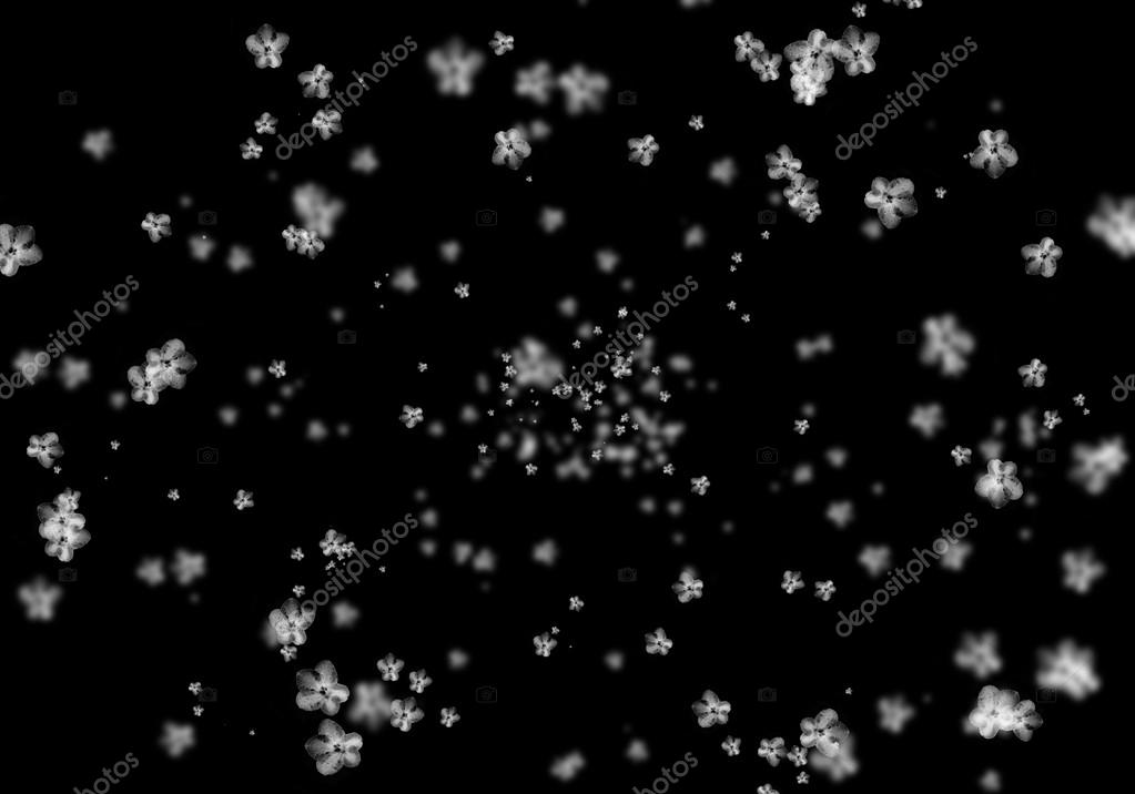 Falling white flowers — Stock Photo © Oliay 87478998