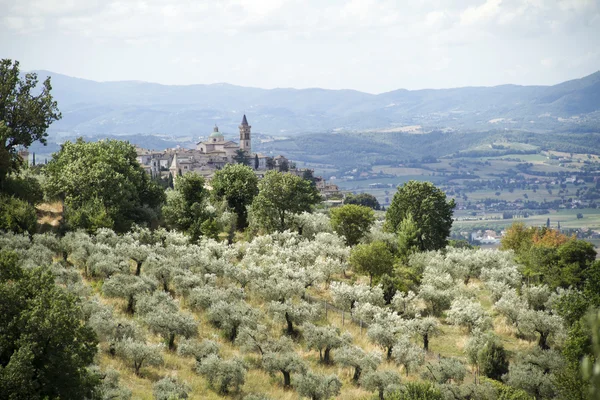 Italien landskapet i Umbrien — Stockfoto