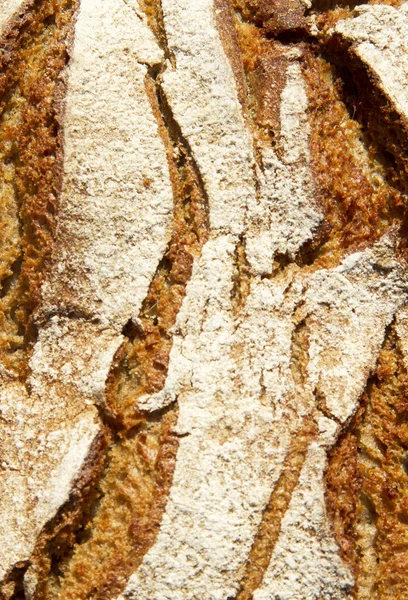 烘焙面包 — 图库照片