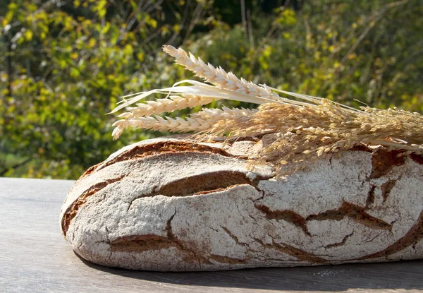 Bakkerij brood en eerstelingsgarve — Stockfoto