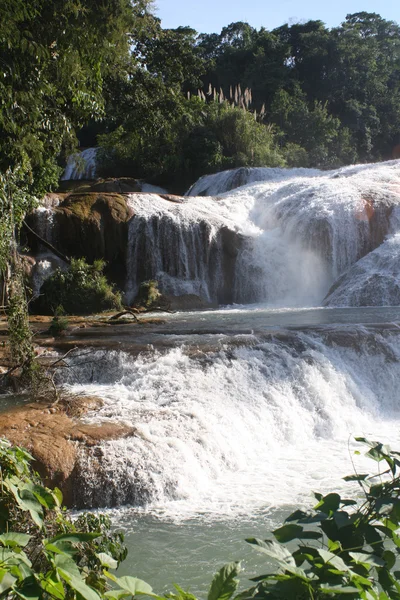 Waterval Mexico — Stockfoto