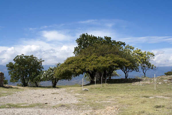 garden in mexico