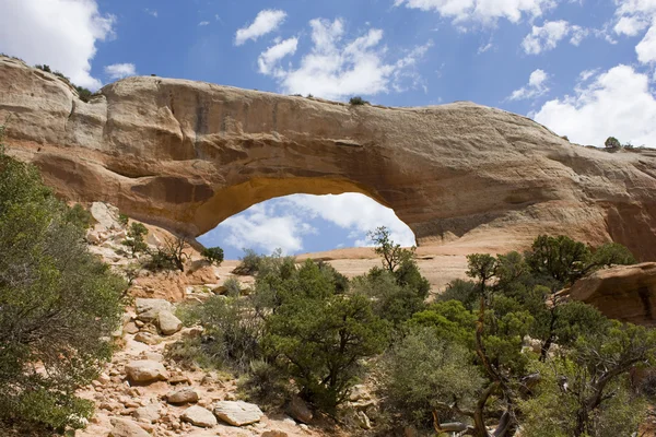 Arches national park — Stockfoto