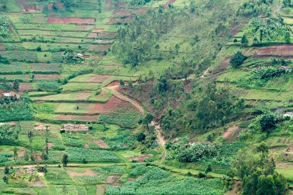 Rwanda Rechtenvrije Stockafbeeldingen