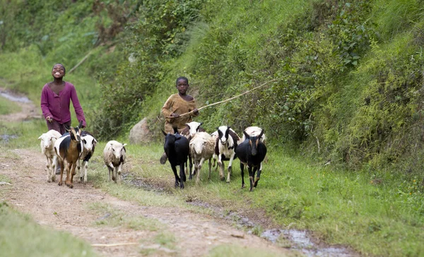 Afrikanische Kinder in Ruanda — Stockfoto