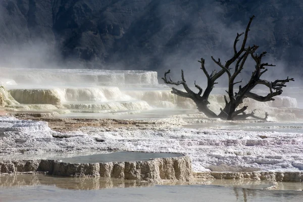 Calcaire dans le parc national Yellowstone — Photo