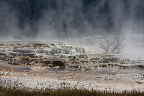 Calcaire dans le parc national Yellowstone — Photo