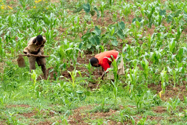 Rwanda dětí — Stock fotografie