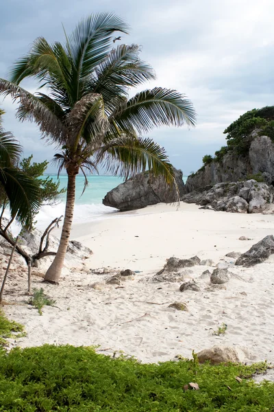 Tulum Mar dei Caraibi — Foto Stock