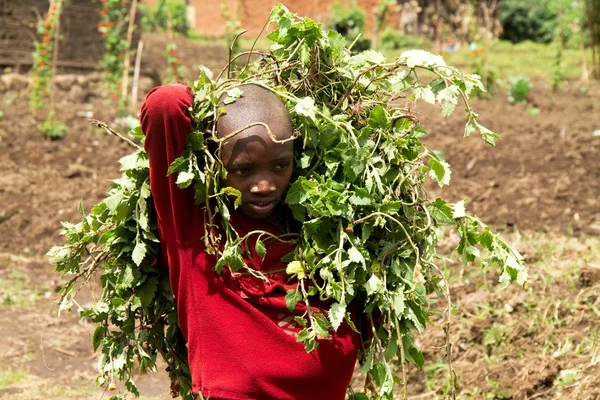 Ruanda — Foto de Stock