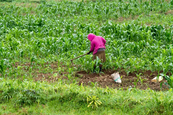 Mujer africana — Foto de Stock