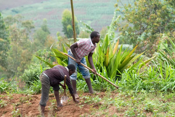 Lavoratore africano — Foto Stock