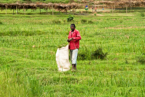 Rwanda — Stock fotografie