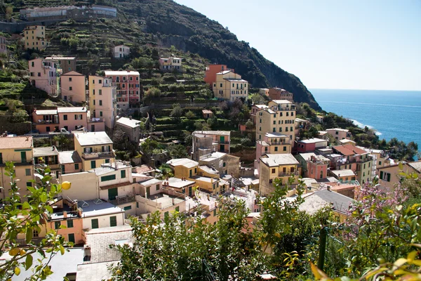 Cinque Terre, Italië — Stockfoto