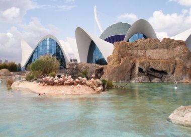 Valencia İspanya modern bina