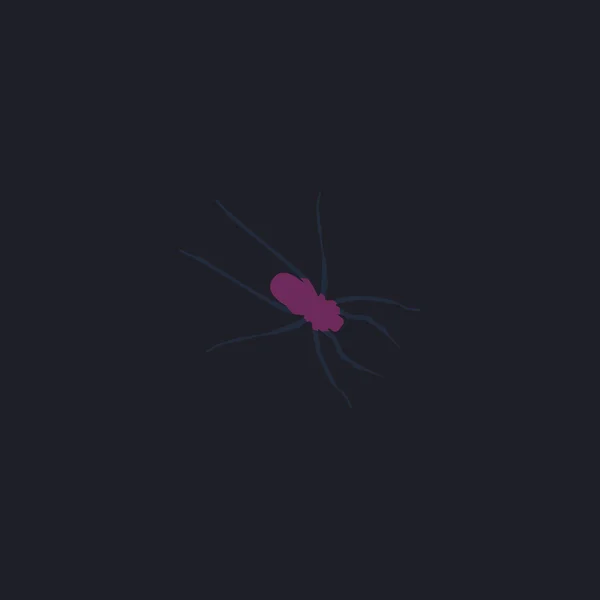 Örümcek bilgisayar simgesi — Stok Vektör