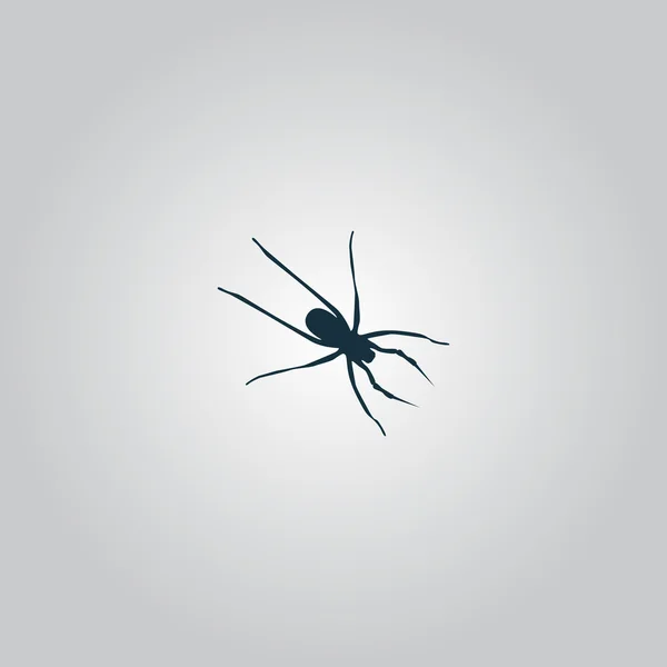 Spider icon — Stock Vector