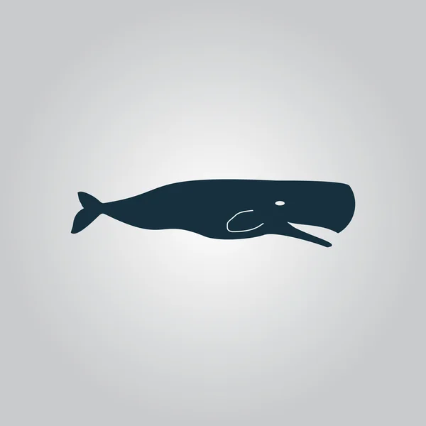 Sperm Whale icon — Stock Vector