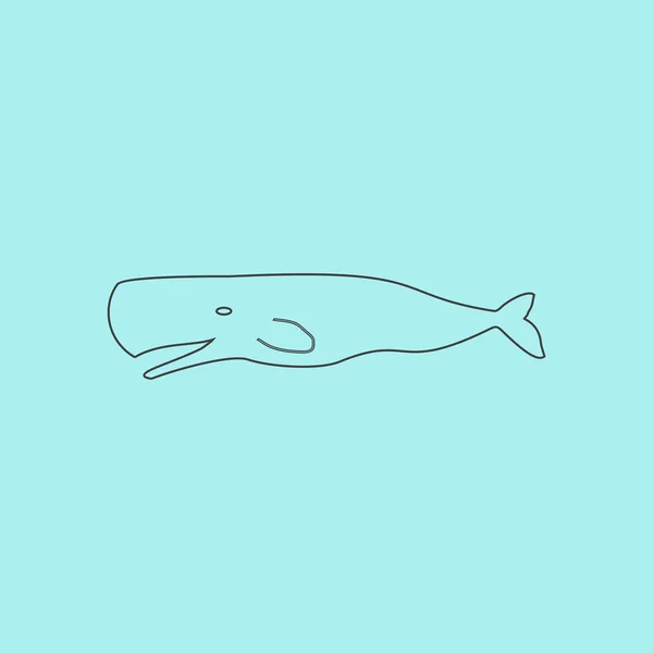 Sperm Whale icon — Stock Vector