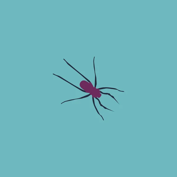 蜘蛛平面图标 — 图库矢量图片