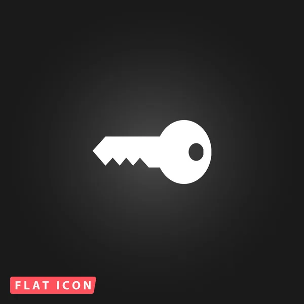 Key vector icon — Stock Vector