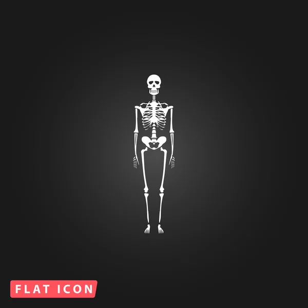 Скелети - людські кістки — стоковий вектор