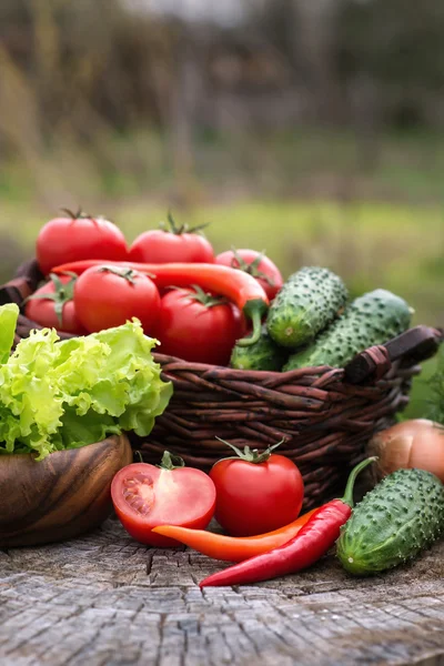 Basket and wooden plate with fresh vegetables (tomatoes, cucumbe — Stock Photo, Image