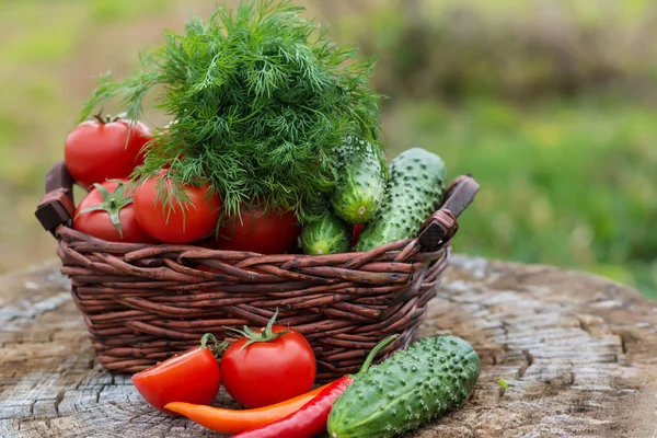 Basket and wooden plate with fresh vegetables (tomatoes, cucumbe — Stock Photo, Image