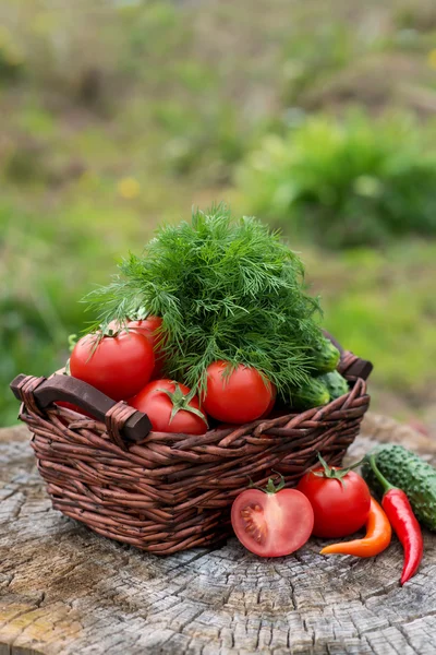 Basket and wooden plate with fresh vegetables (tomatoes, cucumbe — Stock Photo, Image