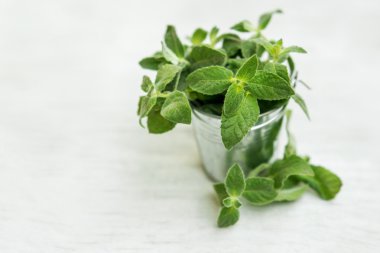 Doğal ahşap arka plan üzerinde küçük sepet içinde Nane, nane, s