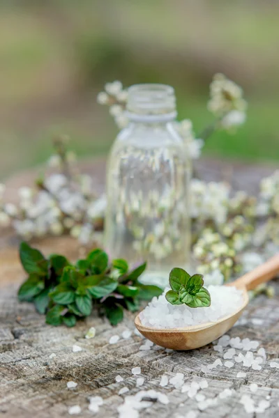 Spa and wellness setting with sea salt, oil essence, flowers and — Stock Photo, Image