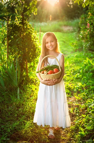 Sevimli gülümseyen küçük kız meyve ve sebze ile sepet tutar — Stok fotoğraf