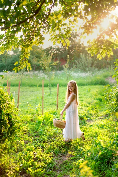 Söt leende liten flicka rymmer korg med frukt och grönsaker — Stockfoto
