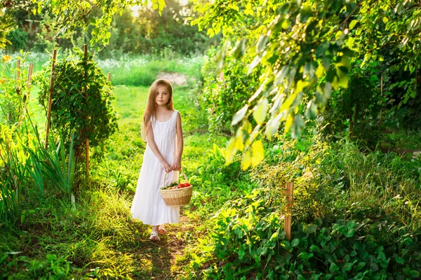 Bonito sorridente menina segura cesta com frutas e legumes — Fotografia de Stock