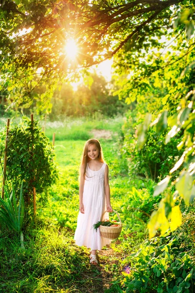 Sevimli gülümseyen küçük kız meyve ve sebze ile sepet tutar — Stok fotoğraf